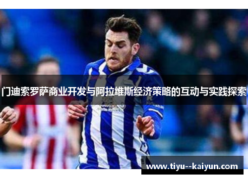 门迪索罗萨商业开发与阿拉维斯经济策略的互动与实践探索 门迪索罗萨商业开发与阿拉维斯经济策略的互动与实践探索